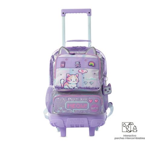 Colección Andy Cat 